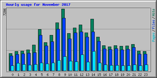 Hourly usage for November 2017