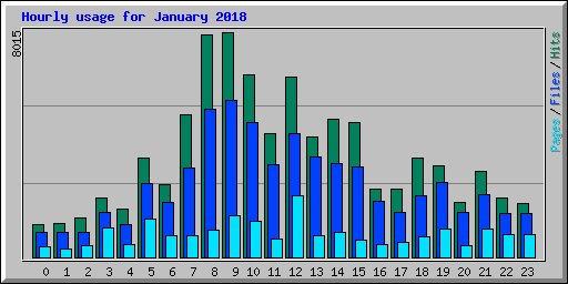 Hourly usage for January 2018