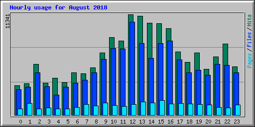 Hourly usage for August 2018